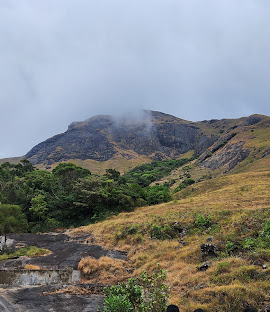 Eravikulam National Park