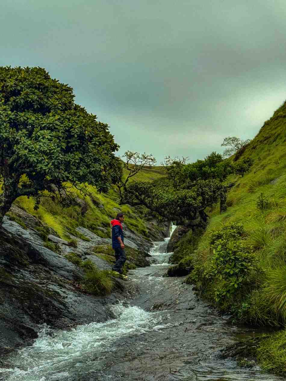 Meesapulimala – Kolukkumalai Trekking