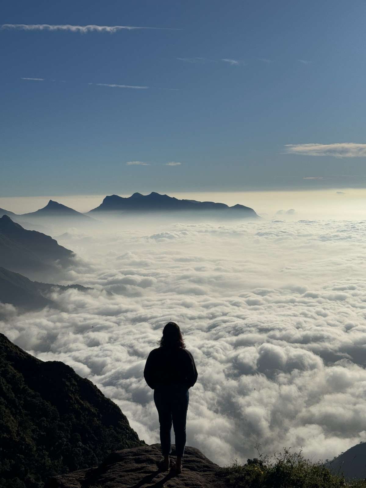 Meesapulimala – Kolukkumalai Trekking