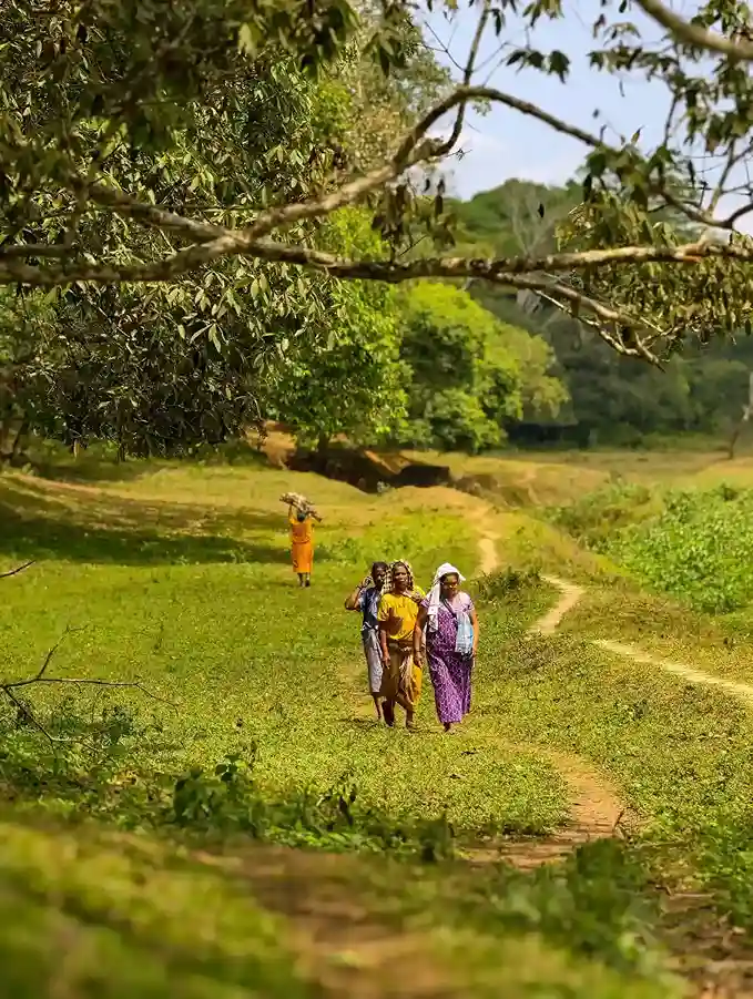 Thekkady Periyar tiger reserve