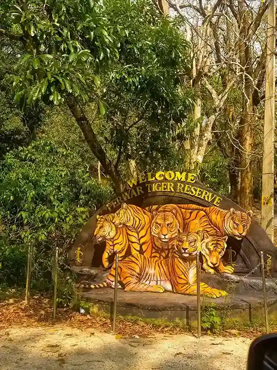Thekkady Periyar tiger reserve